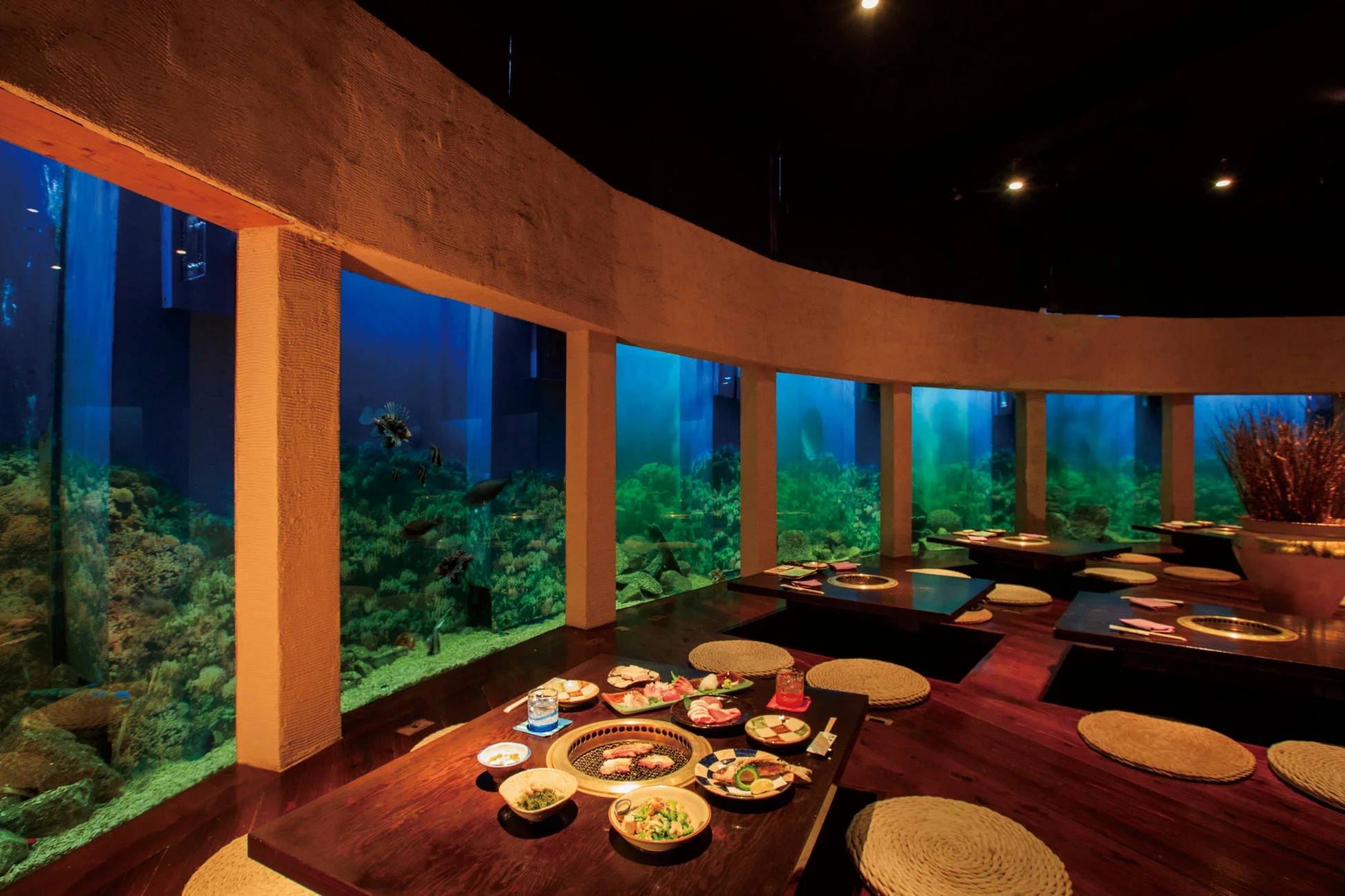 水槽に囲まれたレストラン