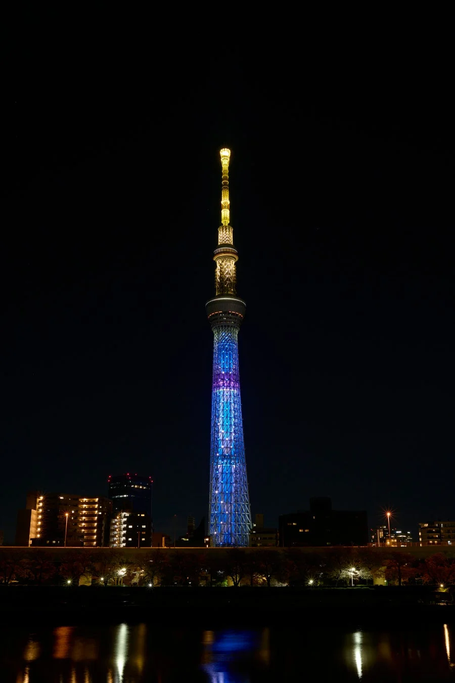 夜空に輝く東京スカイツリー