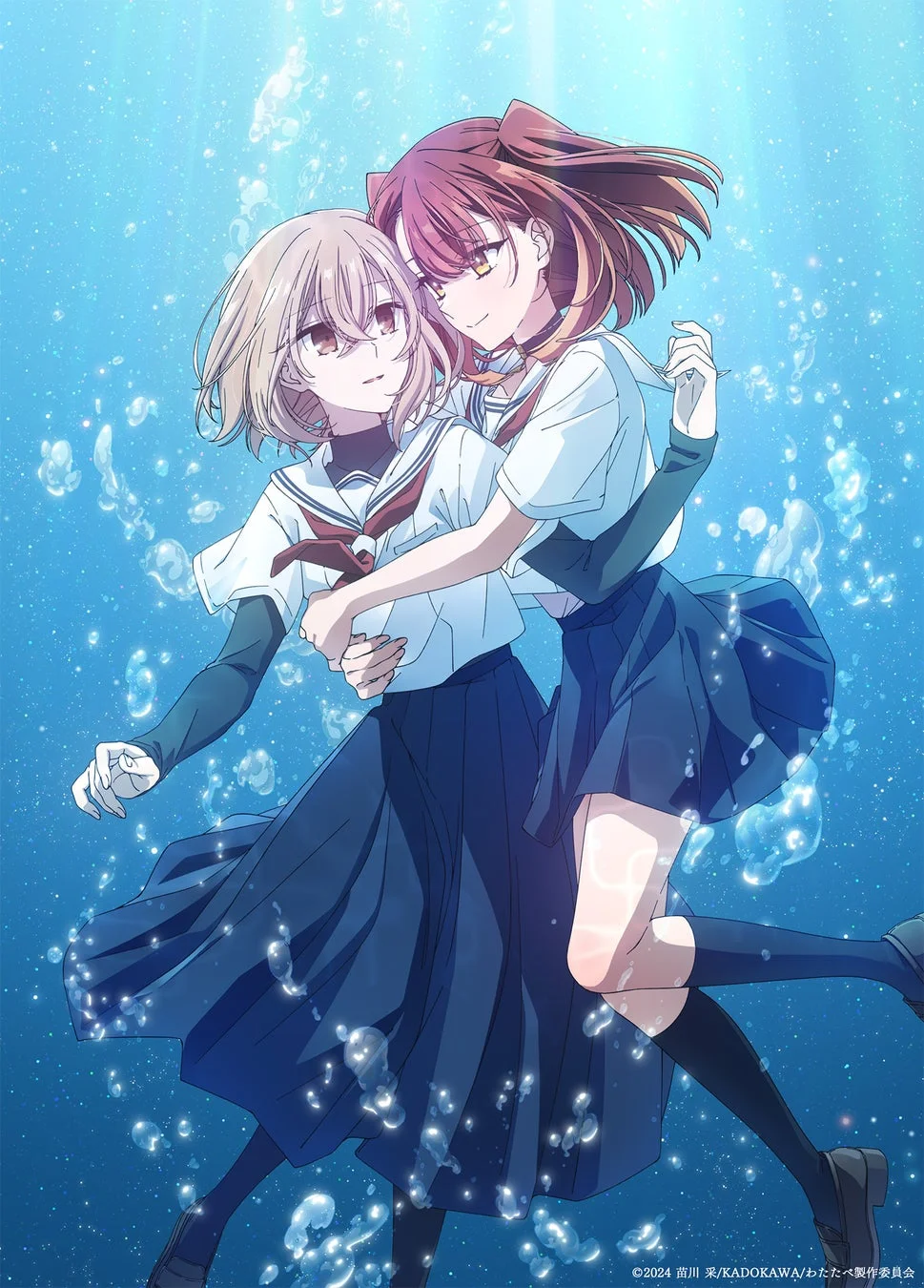Blu-rayイラスト2