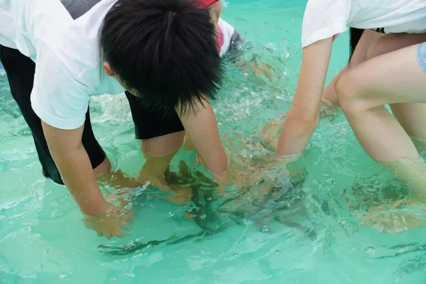 鮎のつかみ取り