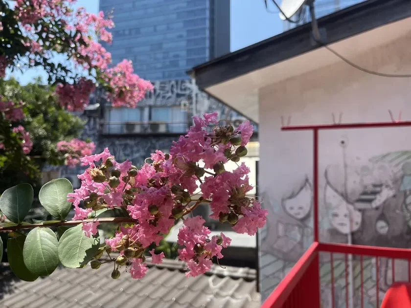 原宿さくら亭の壁画